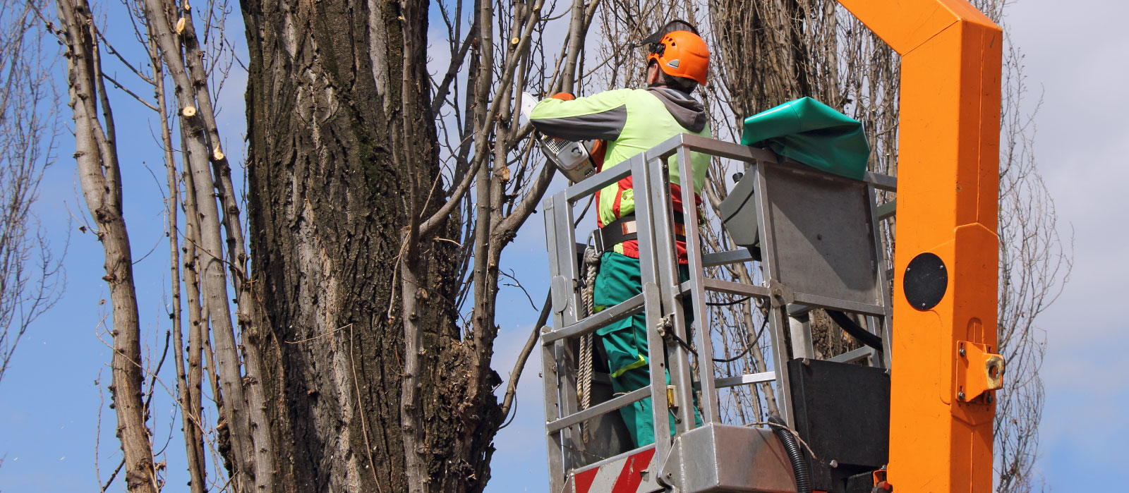 Always Climbing to the Top