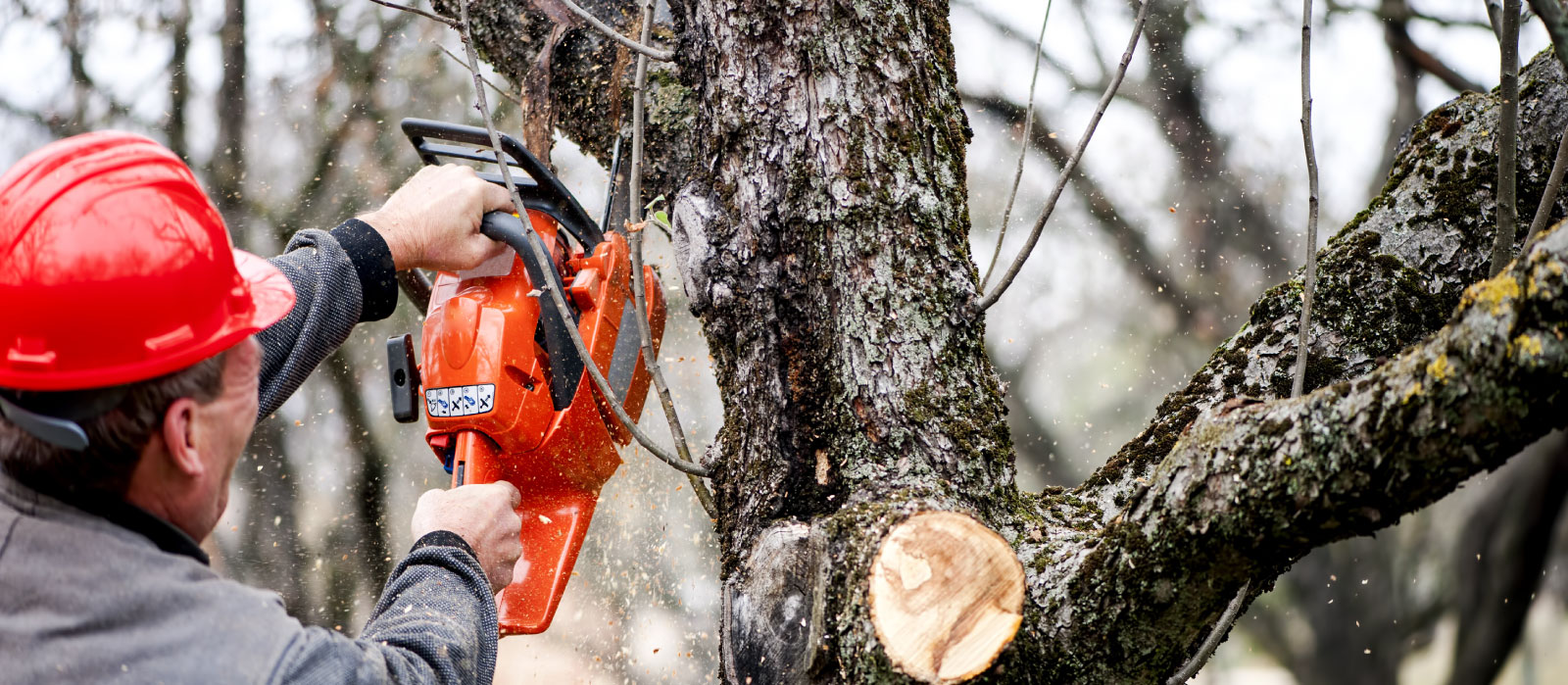 Our Prices Won't Stump You